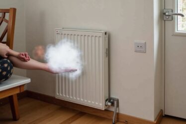 Guide complet pour démonter facilement et en toute sécurité un radiateur électrique Campa